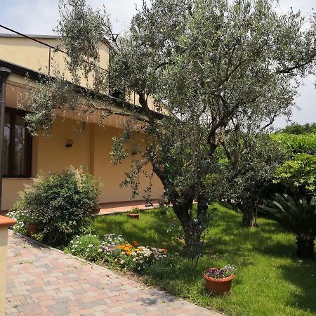B&B D'Avino ปากานิ ภายนอก รูปภาพ