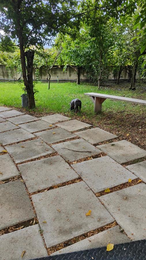 B&B D'Avino ปากานิ ภายนอก รูปภาพ