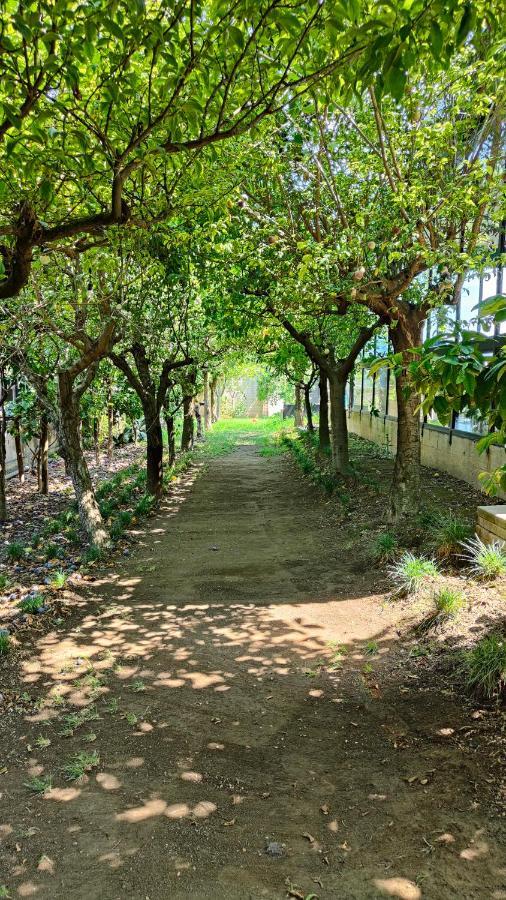 B&B D'Avino ปากานิ ภายนอก รูปภาพ