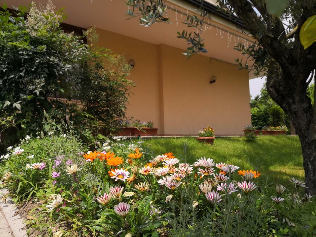 B&B D'Avino ปากานิ ภายนอก รูปภาพ