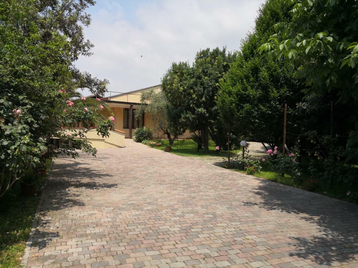B&B D'Avino ปากานิ ภายนอก รูปภาพ