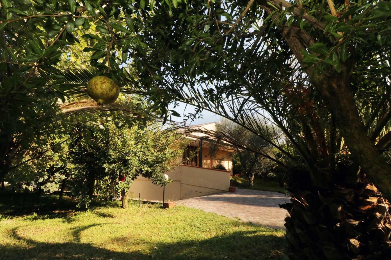B&B D'Avino ปากานิ ภายนอก รูปภาพ